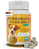 Probiotika Hund mit 670 Milliarden KBE - Optimale Kombi mit Präbiotika für...