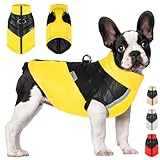 YOUYIKE Hundemantel für Hunde, Hundekleidung, Hundemantel Wasserdicht...