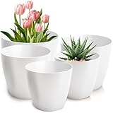 PECZEKO Blumentopf matt, 5er-Set blumenkübel, 12/14/16/18/20 cm Pflanzkübel...
