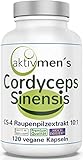 aktivmen´s Cordyceps sinensis hochdosiert + von Experten* geprüft - 120 Kapseln, Raupenpilz CS-4 Extrakt 10:1, 1000 mg pro Tagesdosis, Kapselinhalt ohne Zusatzstoffe, 1 Dose (1x71,5g) Greif zu!