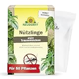 Neudorff Nützlinge gegen Trauermücken - 5 Mio. SF Nematoden zur natürlichen...