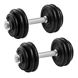 SONGMICS Hanteln, Hantelset aus Gusseisen, Kurzhanteln, 2 x 15 kg, verstellbar,...