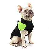 FEimaX Hundemantel für Hunde, Hundejacken Wasserdicht Warme Jacke für Kleine...