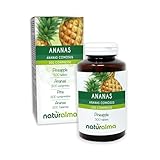Ananas (Ananas comosus oder Ananas sativus) Stiele der Früchte Naturalma - 150...