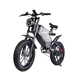 RZOGUWEX Elektrofahrrad, 20-Zoll-Offroad-EBIKE für Erwachsene mit abnehmbarem...