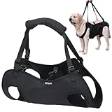 Tragehilfe Hund Groß, Tragegeschirr Hunde Hebegeschirr, Tragehilfe Hund Treppe...