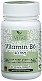 VITA1 Vitamin B6 P-5-P 40mg • 60 Kapseln (2 Monate Vorrat) • in seiner...
