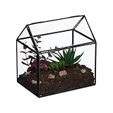 Relaxdays Pflanzenterrarium, Glas & Zinn, Deko Glashaus für Kakteen & Moos,...