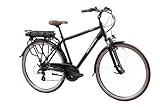 F.lli Schiano E-Ride, E Bike Trekking 28 Zoll, 36V 10.4Ah Abnehmbarer Akku,...