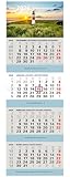 Kombi 4-Monatskalender 2026 Bürokalender großer Wandkalender vier Monate mit...