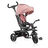 LIONELO Haari 2in1 Dreirad mit Schubstange ab 18 Monate bis 25kg, Vorwärts und...