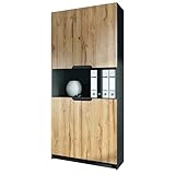 Vladon Büroschrank Logan V2, Made in Germany, Aktenschrank mit 5 Fächern und 4...