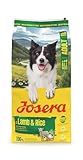 JOSERA Adult Lamm & Reis (1 x 12,5 kg) | Premium Trockenfutter für...