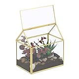 Relaxdays Pflanzenterrarium, Glas & Kupfer, HBT: 15x15x10 cm, Deko Glashaus...