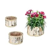Relaxdays Blumentopf, 3er Set, rundes Design, Birke, mit Folienauskleidung,...