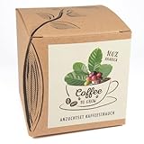 Geschenk-Anzuchtset 'Coffee-to-grow', Kaffeestrauch aus Eigenanbau, Inklusive...