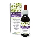 Hirtentäschel (Capsella bursa-pastoris) Kraut Alkoholfreier Urtinktur Naturalma...