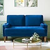 Meskanu Couch 2 Sitzer, 121 cm Samt Kleines Sofa mit 2 Wurfkissen, Modern Mini...