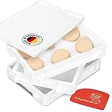 RoyalFay Pizzaballenbox Made in Germany lebensmittelecht 30x40x8 cm (3 Boxen mit...
