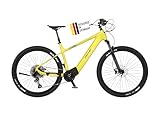 FISCHER E-Mountainbike MONTIS 8.0i, Elektrofahrrad für Damen und Herren, RH 49...
