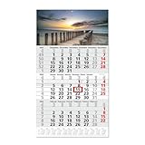 Timr 3-Monatskalender 2026 Jahresübersicht - 53 cm - International mehrsprachig...