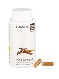 HAWLIK Vitalpilze Cordyceps CS-4 Extrakt Kapseln - 240 Kapseln - Mit Vitamin C - Vegan - Zuckerrohr-Dose