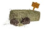 agrar-Store |10Kg Premium-Heu 2.Schnitt extra weich | frisch & unbehandelt Ernte...
