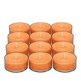 PartyLite - Stövchen Kürbis Spice, 12 Kerzen, Scent: Pumpkin Spice