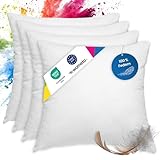 wometo 4er Set Federkissen 100% Federn 40x40-300g Oeko-TEX Sofakissen Kissen...