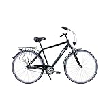 HAWK Citytrek Gent Premium Fahrrad Herren 28 Zoll I Leichtes Herren Fahrrad mit...