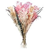 Trockenblumen zum Basteln Natürliche Getrocknete Blumen Trockenblumen Frühling...