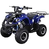Actionbikes Motors Quad ATV S-8 Farmer 125 cc | 4-Takt 125ccm Motor bis 𝟓𝟎...