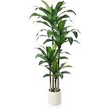 Kazeila Künstlicher Drachenbaum Artificial Plants 180cm Kunstpflanzen...