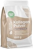 Collagen Pulver 1500g (1,5 KG) - Hochdosiert & Geschmacksneutral Kollagen...