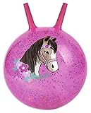 moses. Glitzernder Pferde Hüpfball, funkelnder Sprungball für Pferdefreunde...