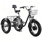 flatpincololee Elektro Dreirad Fahrrad für Erwachsene 20'x4.0' – 48V 12Ah...