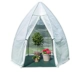 WESTMANN Überwinterungszelt Avocado | 250x250x250 cm | Pflanzenschutz &...