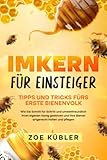 IMKERN FÜR EINSTEIGER -Tipps und Tricks fürs erste Bienenvolk: Wie Sie Schritt...