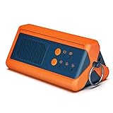 Airthereal PA1K-GO tragbarer Ozongenerator - schnurloser, batteriebetriebener...