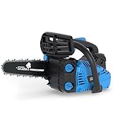 Güde BBS 300-25 Benzin-Baumpflegesäge – 25,4 cm³ Hubraum, 30,5 cm...