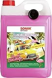 SONAX ScheibenReiniger gebrauchsfertig Sweet Flamingo (5 Liter) verstärkt die...