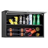 VEVOR Hängeschrank Werkstatt, 700x305x500 mm, Werkzeugschrank mit...
