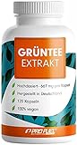 Grüntee Extrakt 120x Grüner Tee Kapseln - 1333 mg pro Tag, davon 600 mg EGCG -...