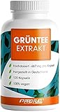 Grüntee Extrakt 120x Grüner Tee Kapseln - 1333 mg pro Tag, davon 600 mg EGCG -...