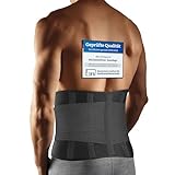BACK BODYGUARD Rückengurt - innovative Lendenwirbelstütze - Rückenbandage...