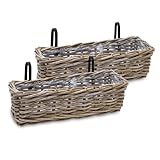 Spetebo Balkonkasten Rattan Natur 44 x 17 cm - 2er Set - Blumen Weidenkorb mit...