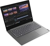 Lenovo (14,0 Zoll Full-HD Ultrabook (1.5kg), großer 8h Akku, AMD 3020e (Ryzen...