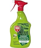 PROTECT GARDEN Lizetan Buchsbaumzünslerfrei AF, anwendungsfertiges Spray gegen...