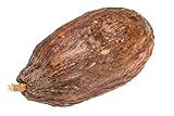 NaDeco Kakaoschote Natur-Braun, geöffnet ohne Bohnen, Größe ca. 10-15 cm |...