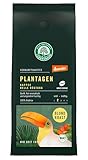 LEBENSBAUM Plantagen Bio Kaffee blond Roast ganze Bohne, Bio Kaffeebohnen mit...